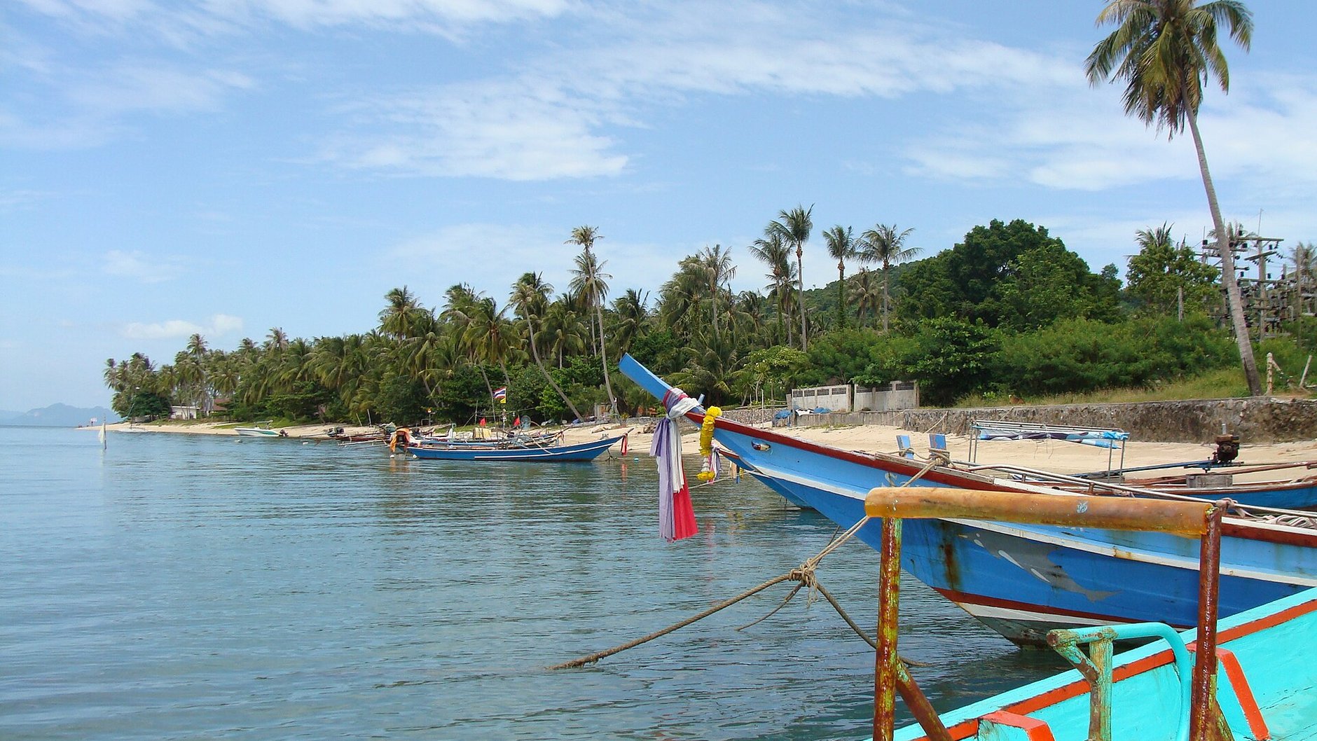 Long-tail boats and coconut palms along a calm Koh Samui shoreline (illustrative stock photo)