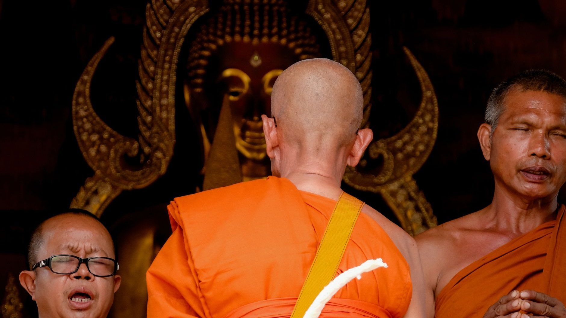Three Buddhist monks in orange robes chant in front of a gilded Buddha image, one seen from behind with a shaved head (illustrative stock photo)